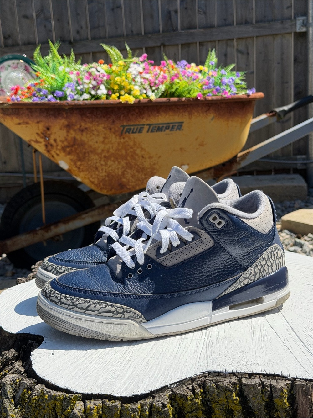 Jordan 3 Georgetown